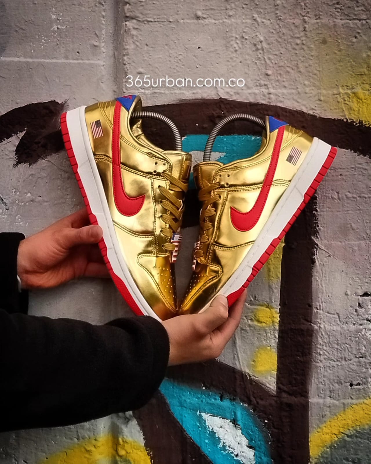NIKE SB TRUMP