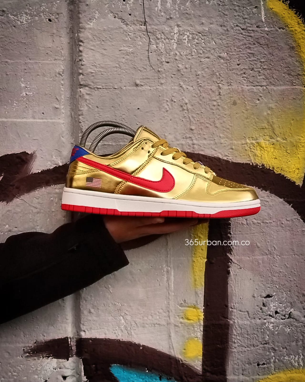 NIKE SB TRUMP