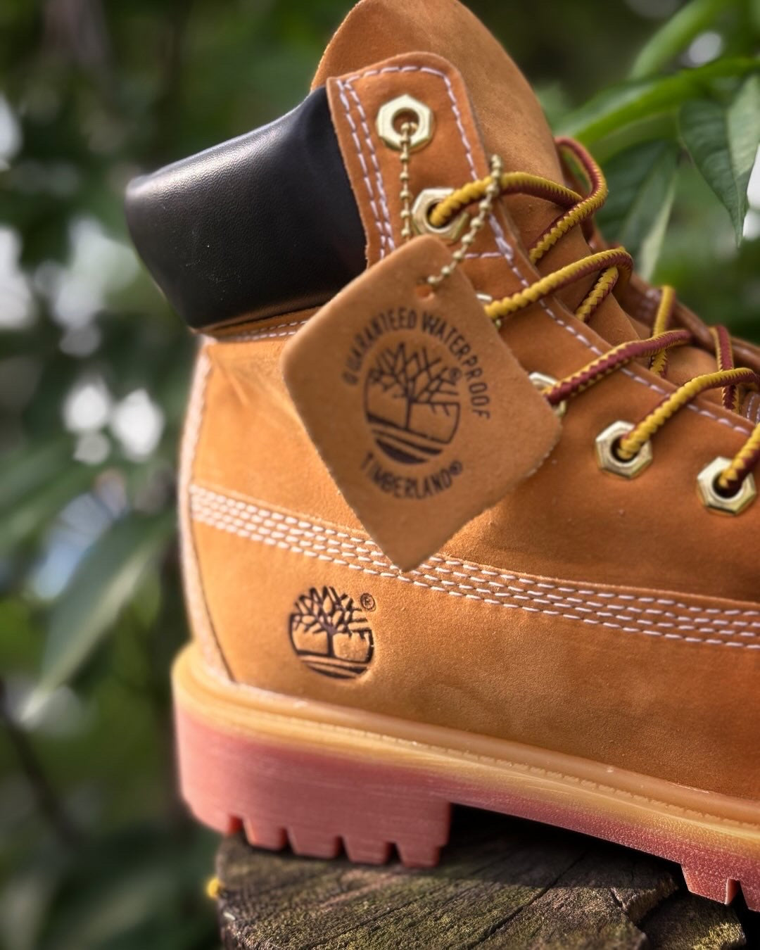 TIMBERLAND BOTAS