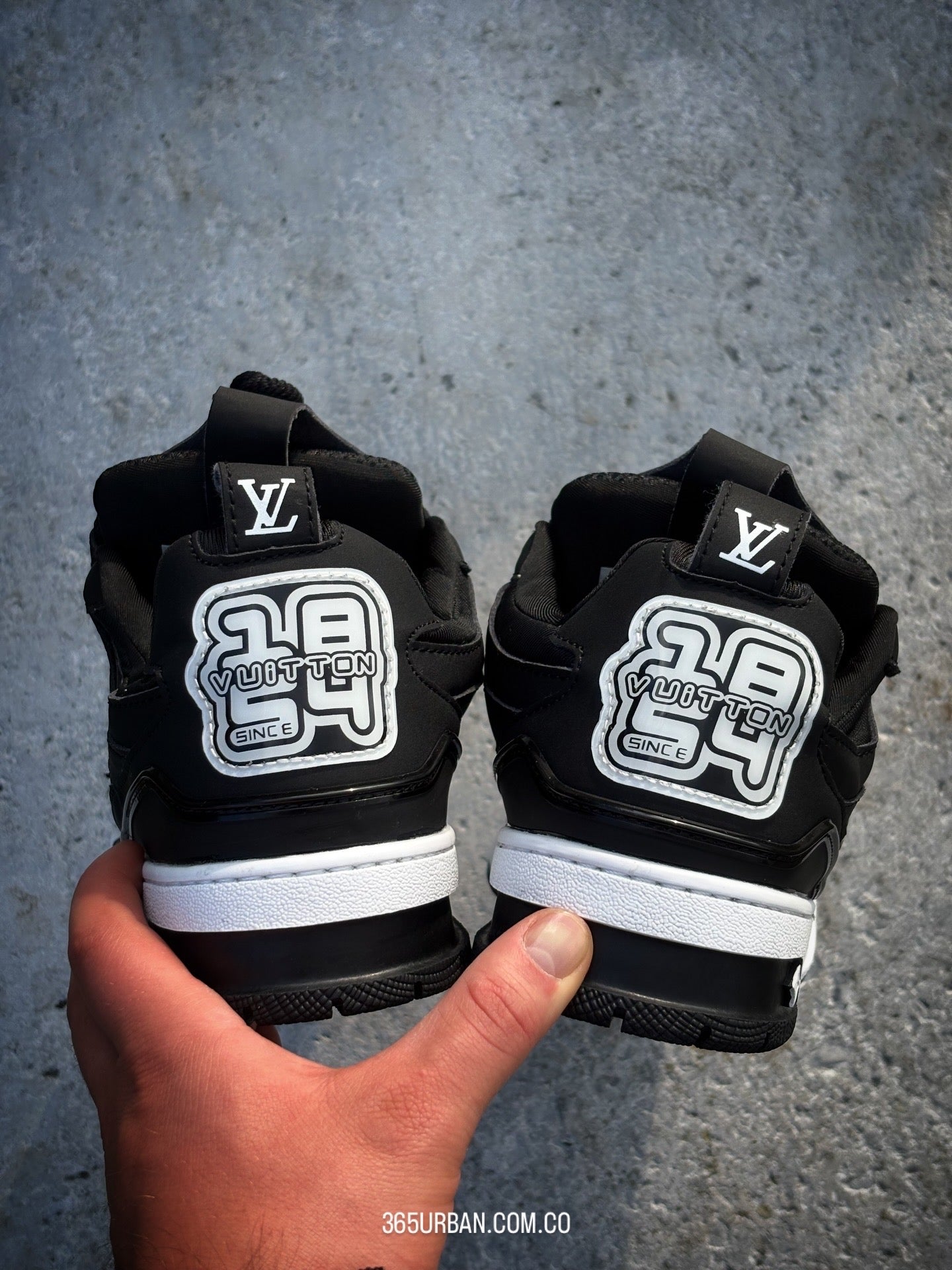 LOUIS VUITTON SKATE