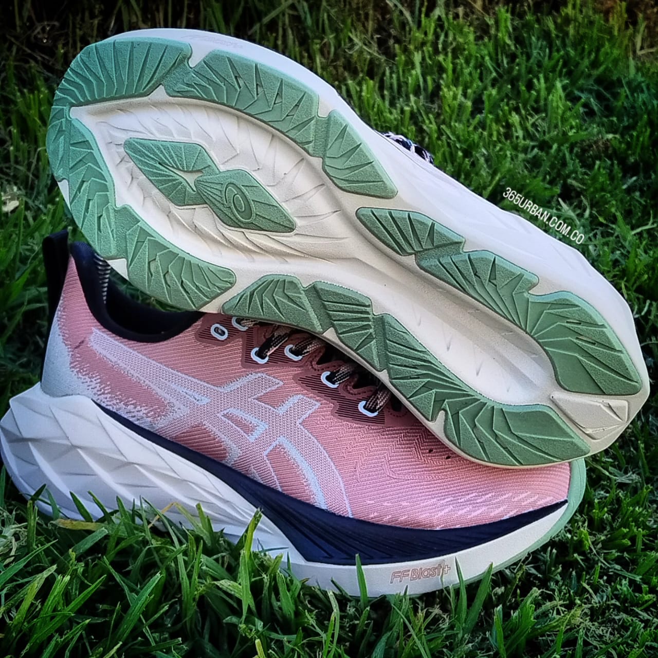 ASICS NOVABLAST 4